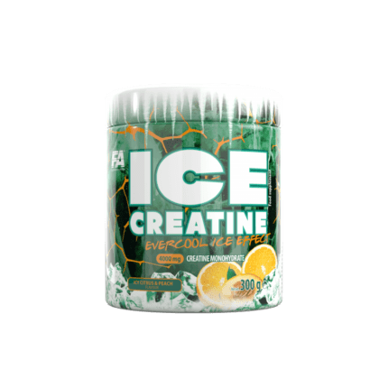 FA Ice Creatine 300g –